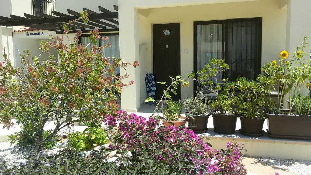 Faros Beach Paphos Eksteriør billede